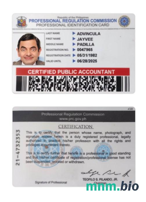 Przykład profesjonalnej karty identyfikacyjnej Filipin w formacie PSD, w pełni edytowalny